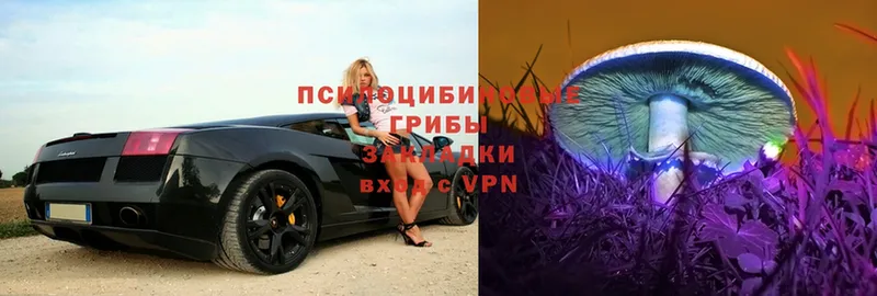 Псилоцибиновые грибы MAGIC MUSHROOMS  Гусь-Хрустальный 